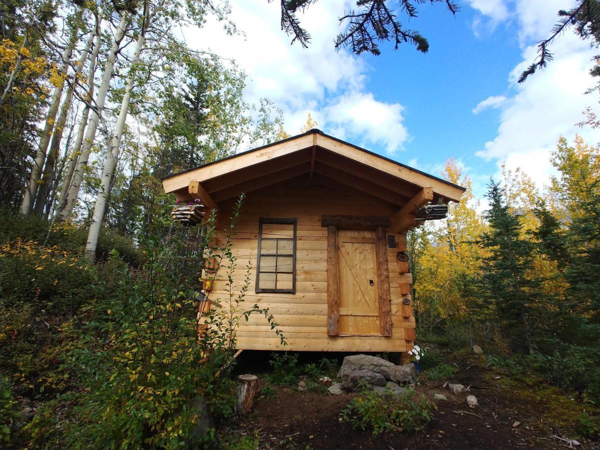 Blackburn Cabins - Mccarthy, Alaska Kültér fotó