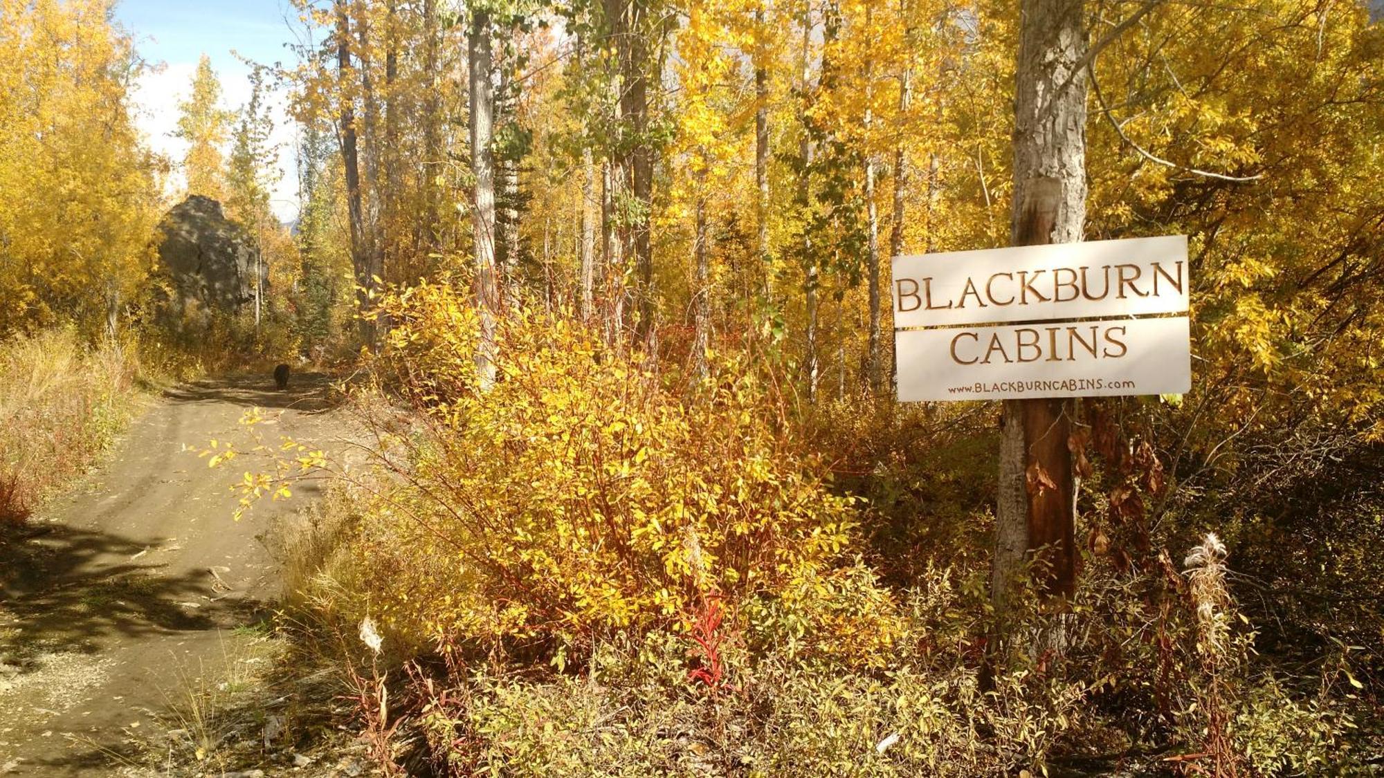 Blackburn Cabins - Mccarthy, Alaska Kültér fotó